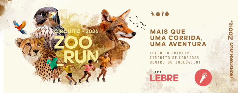 Imagem da prova